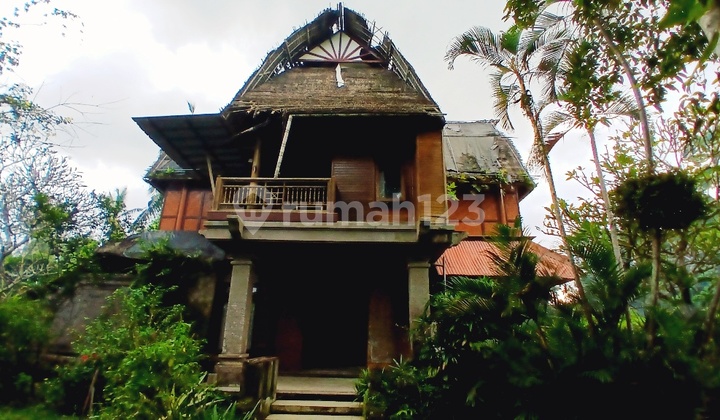 Rumah Butuh Renovasi Total Unfurnished Singapadu Tengah, Gianyar