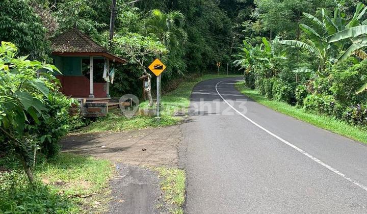 FOR SALE 62 ARE LAND IN PUPUAN - TABANAN - BALI