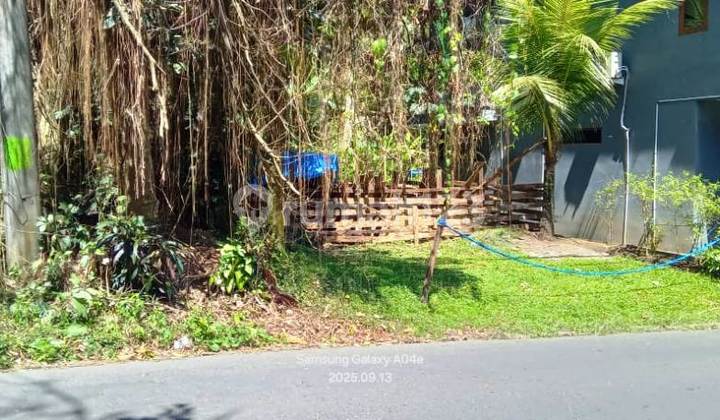 Land For Lease 58 Are On The Main Road Of Payogan - Ubud Land For Lease 58 Are On The Main Road Of Payogan - Ubud