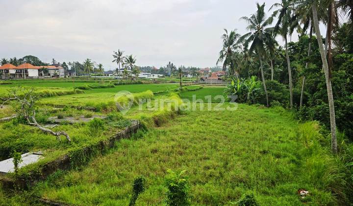 Dijual Lahan 26.81 Are di Pejeng Kawan Ubud - Bali