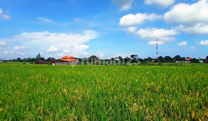 12 UNIT TANAH KAVLING PANDAK BANDUNG - KEDIRI - TABANAN 12 UNIT TANAH KAVLING PANDAK BANDUNG - KEDIRI - TABANAN