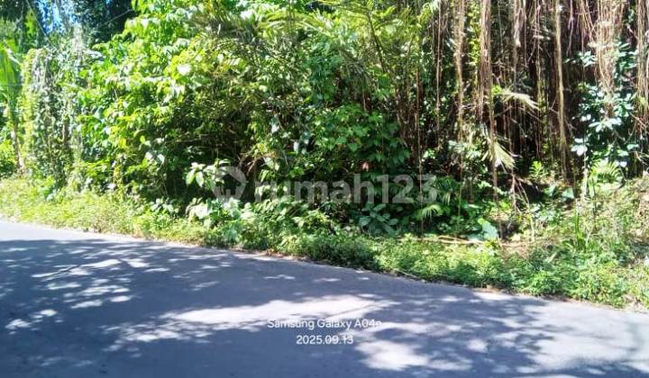 Land For Lease 58 Are On The Main Road Of Payogan - Ubud
