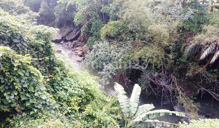 3,300 SQM OF TERRACED LAND FOR LEASE WITH NATURAL SPRING AND DIRECT RIVER ACCESS IN UBUD, BALI 3,300 SQM OF TERRACED LAND FOR LEASE WITH NATURAL SPRING AND DIRECT RIVER ACCESS IN UBUD, BALI