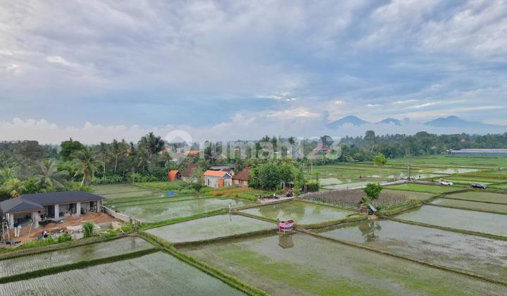 Dijual Tanah View Sawah Luasan Kecil di Ubud - Bali