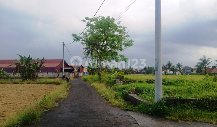 Tanah SHM 10 Are Utara Stadion Bali United - Gianyar - Bali Tanah SHM 10 Are Utara Stadion Bali United - Gianyar - Bali