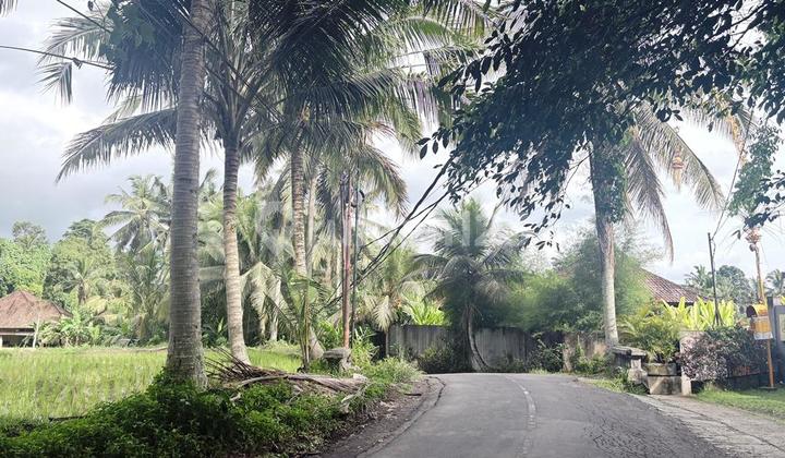 Dijual Tanah 22 Are Itr Kuning Dekat Central Ubud - Bali Dijual Tanah 22 Are Itr Kuning Dekat Central Ubud - Bali