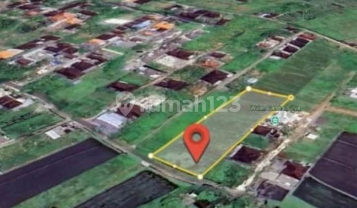 LAND FOR LEASE: 1980 sqm and 2000 sqm IN TABANAN - BALI
