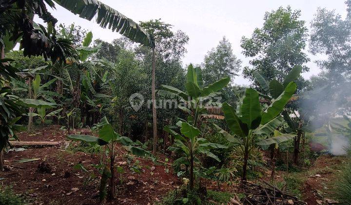 Lahan Kosong Pinggir Jalan Raya Klapa Nunggal  2