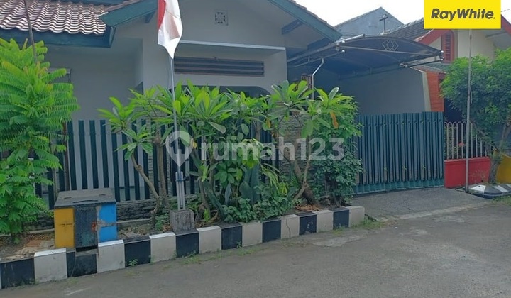 For Rent House Diisma Menanggal Gayungan Surabaya For Rent House Diisma Menanggal Gayungan Surabaya