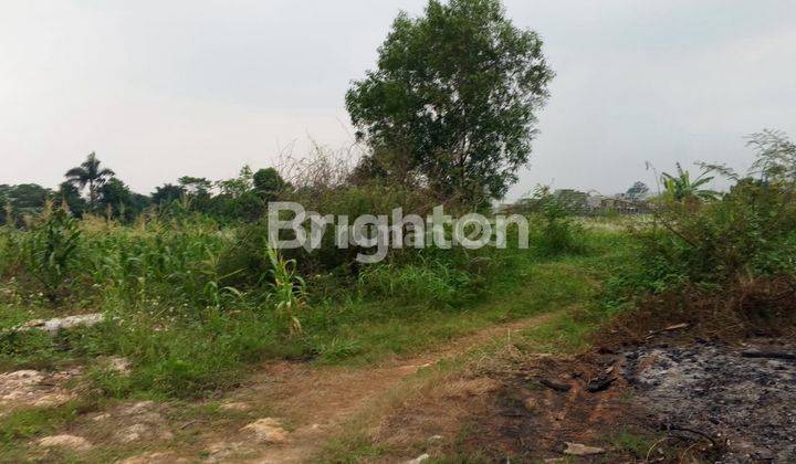 TANAH KAN LUAS 8000 METER2 COCOK UNTUK GUDANG WORKSHOP PABRIK MASUK KONTAINER 40FIT WANAHERANG GUNUNG PUTRI BOGOR 2