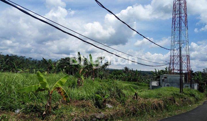 TANAH SIAP BANGUN HARGA NEGO PINGGIR JALAN UTAMA  LEUWINANGGUNG SUKABUMI 2