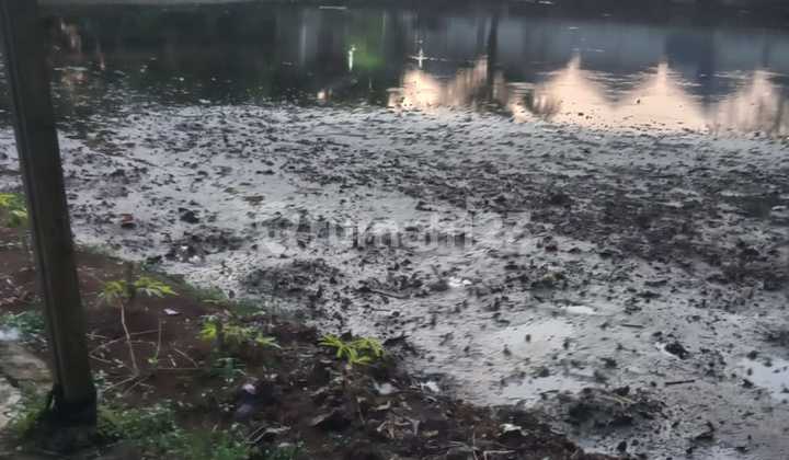 For Sale Land Empang H. Sulaiman Main Road, Bedahan For Sale Land Empang H. Sulaiman Main Road, Bedahan