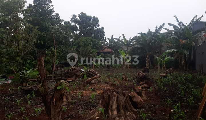 Land Plot for Sale Near Cilebut Station Land Plot for Sale Near Cilebut Station