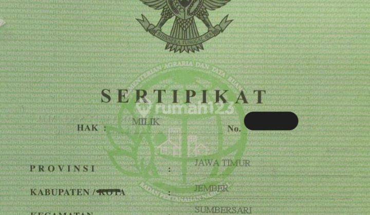 Jual Ruko 1 Lantai Sumbersari Jember Jawa Timur 01a1c4  9