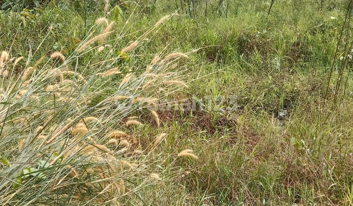 Jual Lahan tanah 7.5 Hektare Palaran Samarinda Kaltim A5b1b0 3