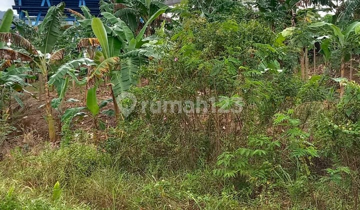 Jual Lahan tanah 7.5 Hektare Palaran Samarinda Kaltim A5b1b0 5