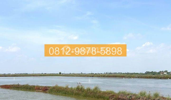 Jual Tanah lahan Solokan Pakis Jaya Karawang 5C63E8 1