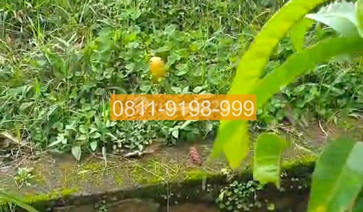 Jual Tanah Parongpong Bandung Barat 150m2 Bd6a57 2