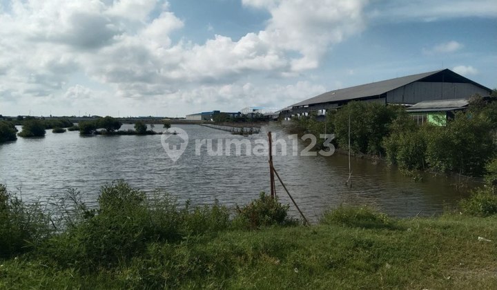 Tanah Pertanian Luas 39.378m² Tembak Zona Industri Di Kendal