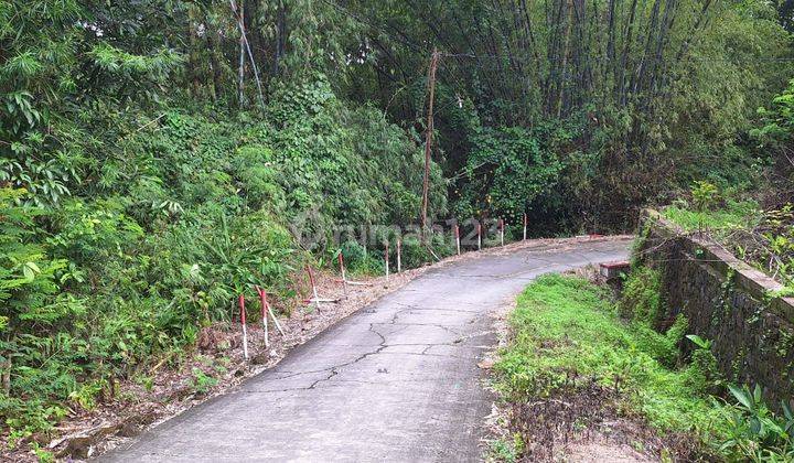 Tanah Pekarangan 2.115m2 Kalijambe Sragen. 2