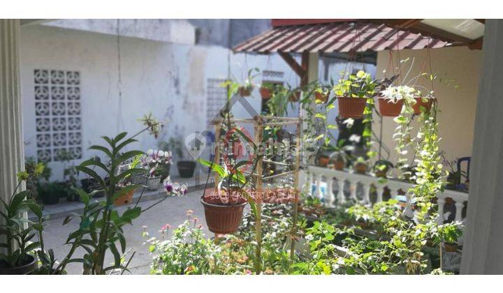 Rumah Asri Luas Second Klaten Tengah 6