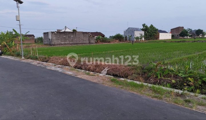 Tanah Strategis 10.700m² Zona Kuning Klaten Tanah Strategis 10.700m² Zona Kuning Klaten