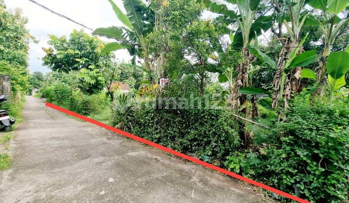 Tanah Luas Ideal Siap Bangun Dekat Kampus Akfis Clmdu