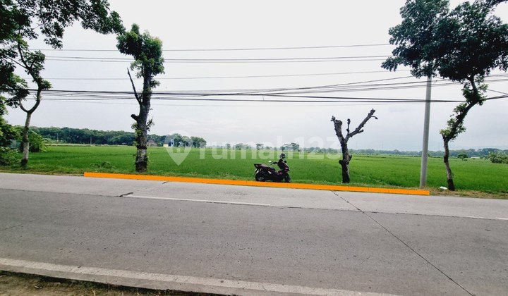 Tanah Sawah Luas 1.873M² Tepi Jln Raya Tanjung Nguter