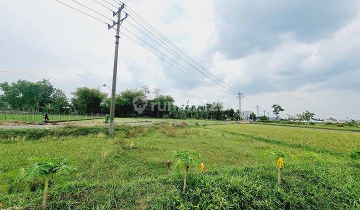 Tanah Sawah 1.805m² Dekat Exit Tol Ngasem Colomadu KRA 2