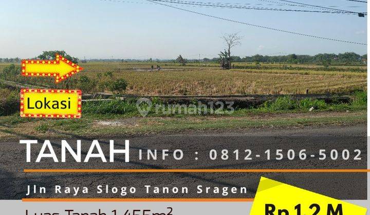 Tanah Sawah 1.445m² Strategis Tepi Jalan Raya  1