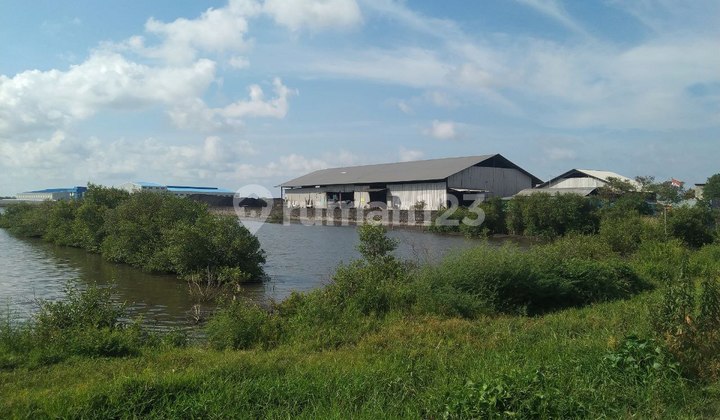 Tanah Pertanian Luas 39.378m² Tembak Zona Industri Di Kendal Tanah Pertanian Luas 39.378m² Tembak Zona Industri Di Kendal