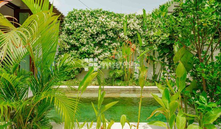 Enchanting 3 Bedroom Villa In Sanur 2