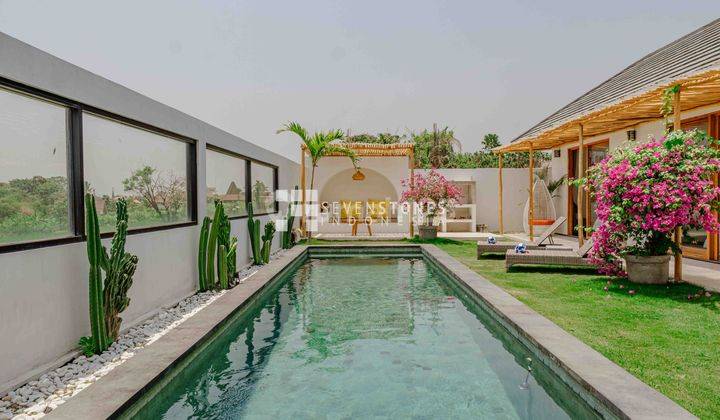 4 bedroom Holiday Home In Canggu 2