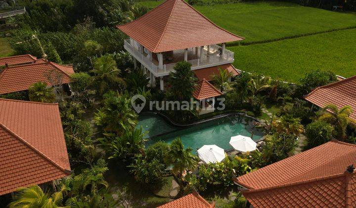 Investment Opportunity, Resort For Sale In Ubud 2