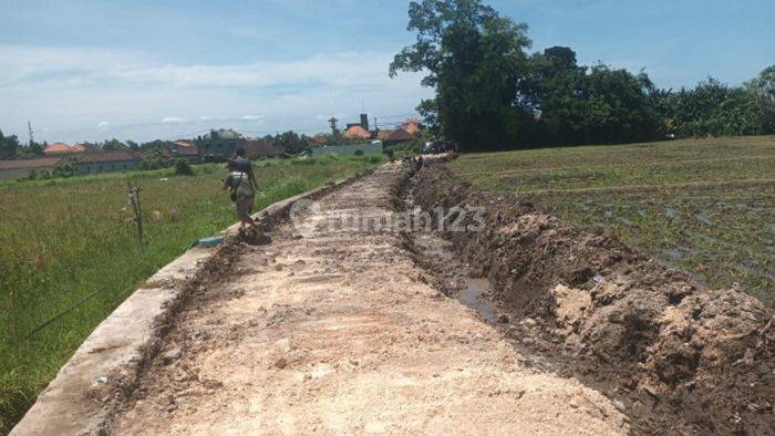 Dijual Tanah Kavling di Area Kedungu Tabanan 1