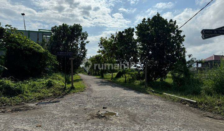 Kedungu Land For Sale 2