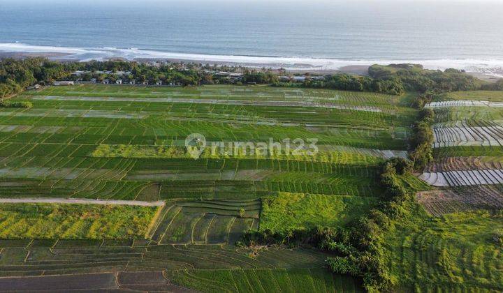 Exclusive Land Plots For Sale, Tabanan 1