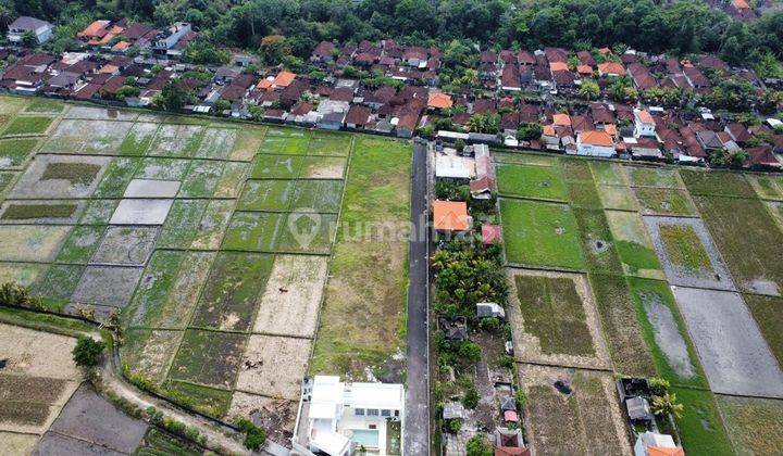 Exclusive Land Plots For Sale, Tabanan 2