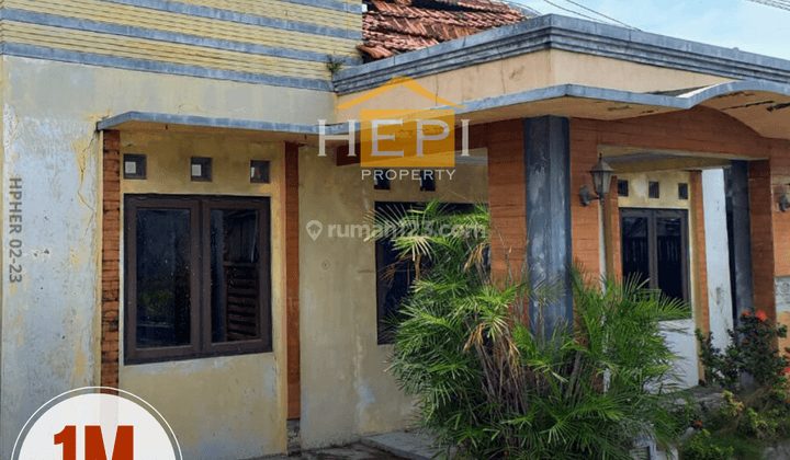 Dijual Rumah di Singa Kalicari Semarang 2