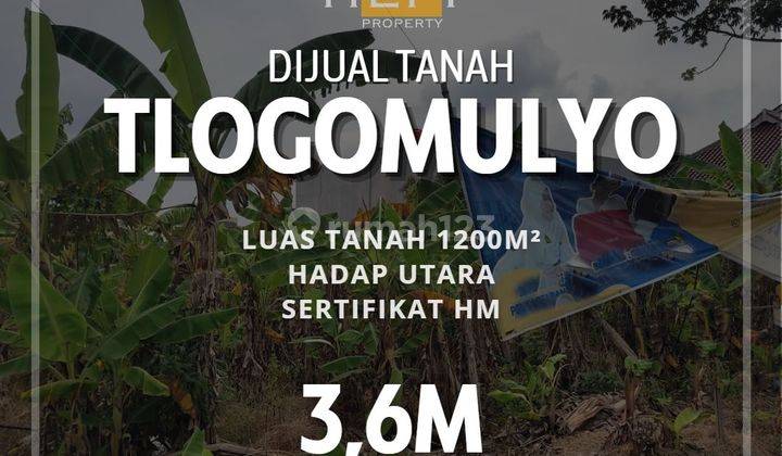 Dijual Tanah di Tlogomulyo Pedurungan Semarang 1