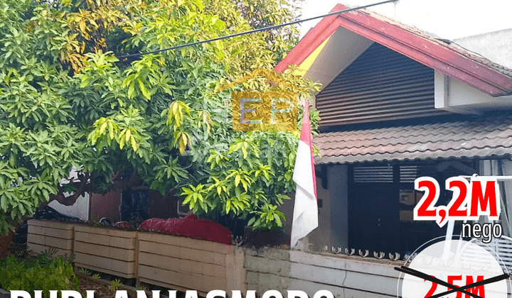 Rumah Dan Ruang Usaha Puri Anjasmoro Semarang 1