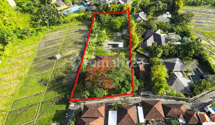 Tanah Superlangka View Sawah Dekat Resto Noox Umalas Harga Murah