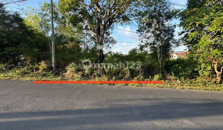 Super cheap land for sale on Darmawangsa main road, 9 minutes to Pandawa Beach 1