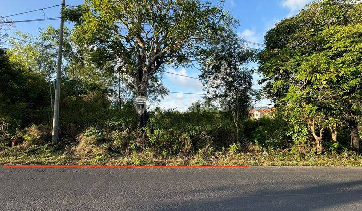 Super cheap land for sale on Darmawangsa main road, 9 minutes to Pandawa Beach 2