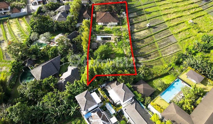 Tanah Terlangka di Umalas Bali View Sawah Tanah Terlangka di Umalas Bali View Sawah