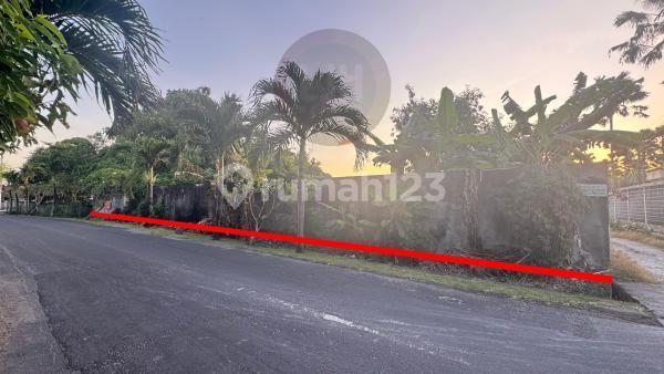 Land For Sale in Canggu, Near Pepito Market and Batu Bolong Beach, Ideal for Villa Construction