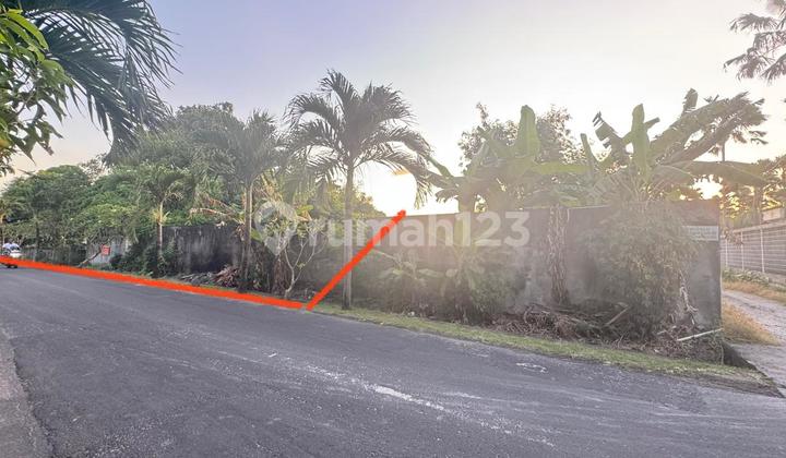 Tanah Murah di Jalan Utama Area Canggu – Lokasi Strategis, Sertifikat SHM!