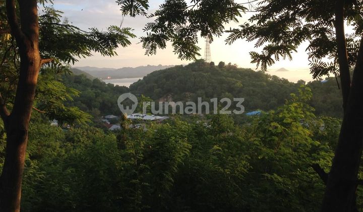 Prime Land Labuan Bajo , View Cantik dan Free Design, Siap Bangun VILLA 