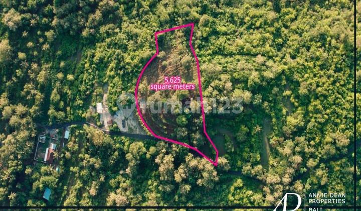 Freehold Ocean-View Land in Nusa Penida