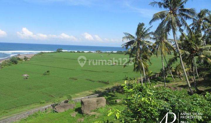 Freehold Ocean And River Views Land In Pulukan Jembrana 67,9 Are 1